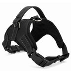 Adjustable Nylon Dog Harness