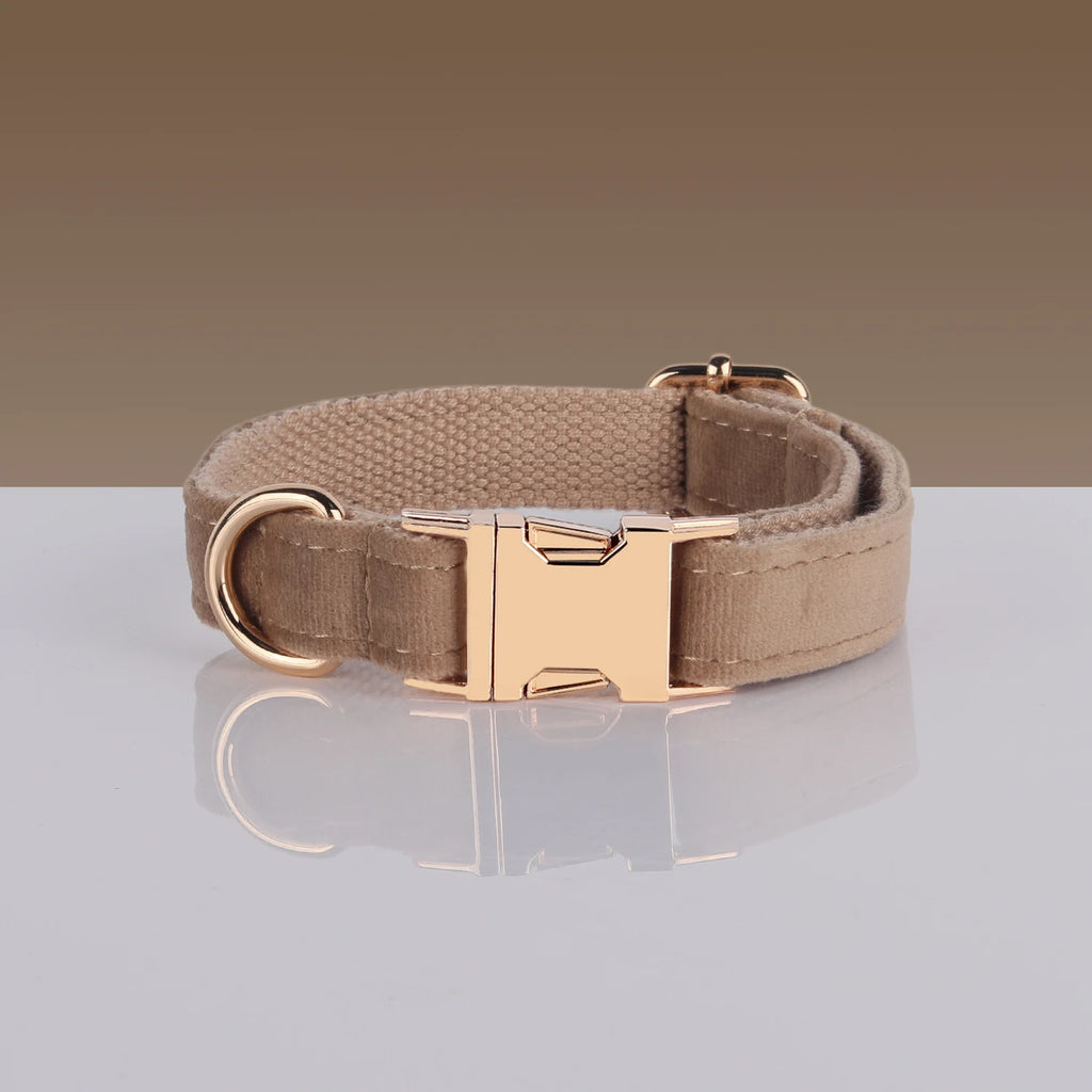 Luxury Velvet Dog Collar With Name