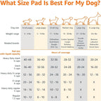 Basics Dog and Puppy Pee Pads, 5-Layer Leak-Proof Super Absorbet