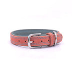 Colorfull Leather Collar