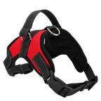 Adjustable Nylon Dog Harness